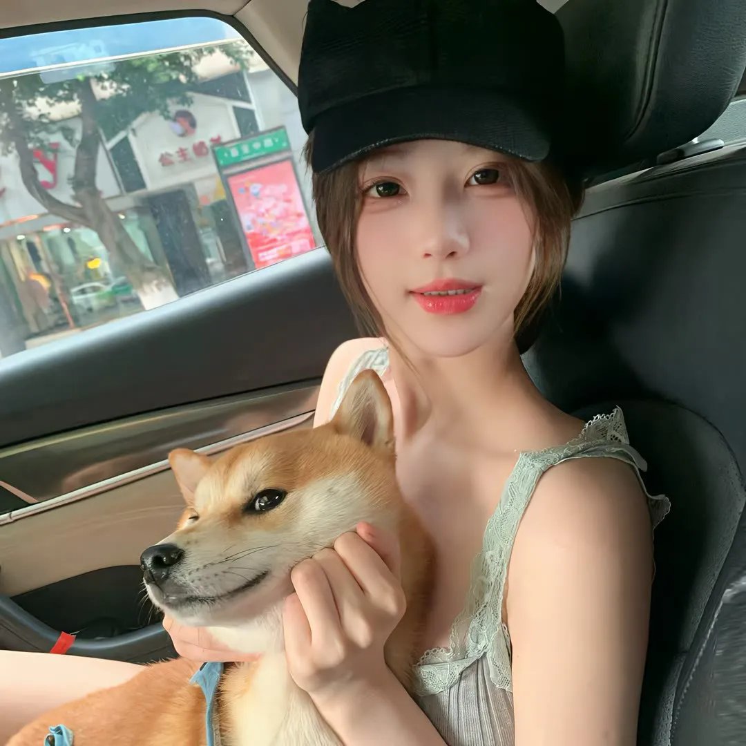 分手木马计