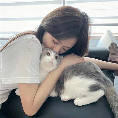 坠恶真相