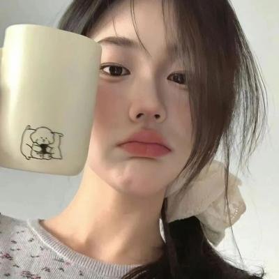 完美圣诞节